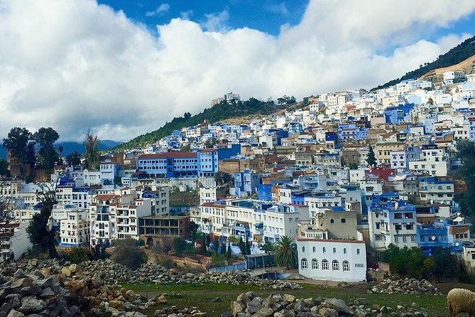 Private Full Day Tour of Chefchaouen From Malaga - Cancellation Policy