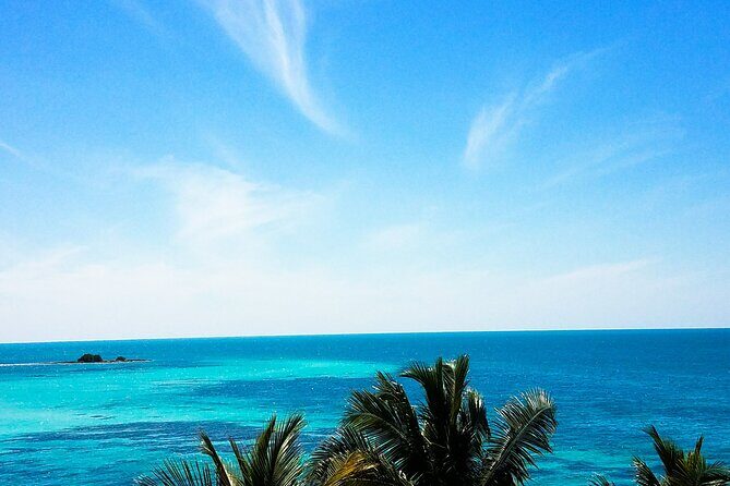 Private Full-Day Tour of Florida Keys from Miami/FLL to Key West - The Full-Day Journey: What to Expect