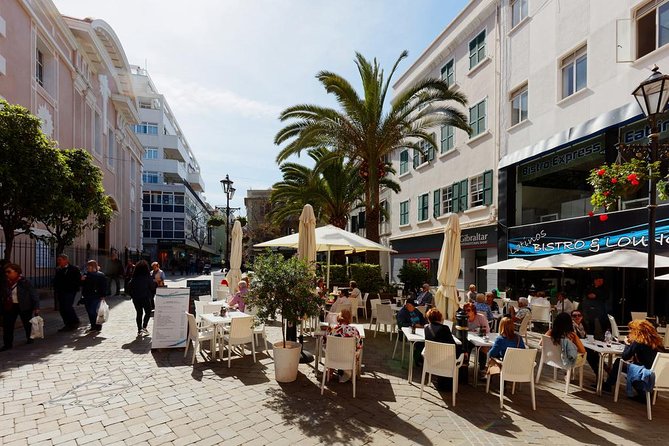 Private Full Day Tour of Gibraltar From Malaga or Marbella - Tour Details and Highlights