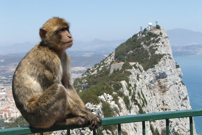 Private Full Day Tour of Gibraltar, Marbella and Puerto Banus From Malaga Hotel - Historical Significance