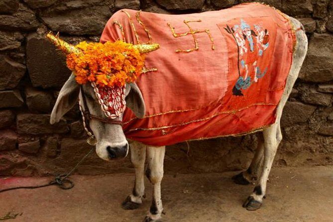 Private Full Day Tour of Haridwar and Rishikesh from Delhi - Good To Know