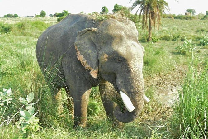 Private Full Day Tour of Jaipur Historical and Heritage Places - Final Thoughts: Is This Tour Right for You?