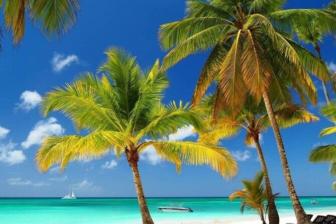 Private Full Day Tour of Punta Cana - Practical Considerations
