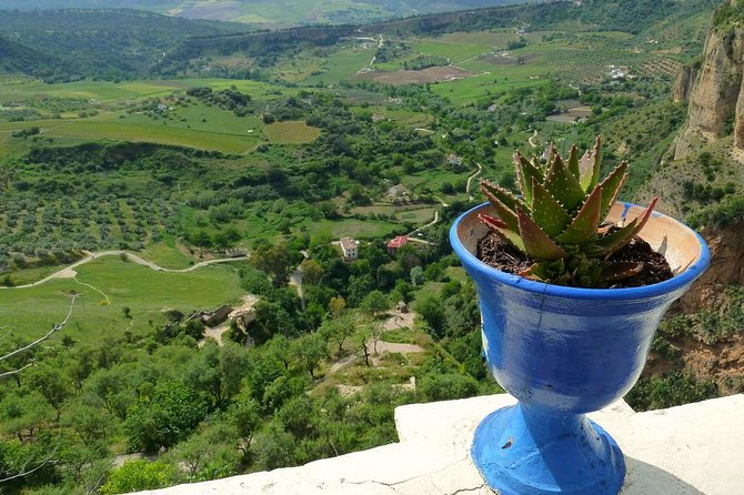 Private Full-Day Tour of Ronda From Malaga With Hotel Pick up and Drop off - Itinerary Highlights