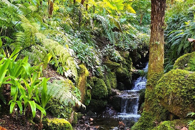 Private Full Day Tour of Sintra, Cascais and Estoril - Additional Information