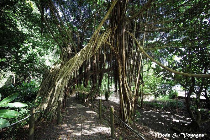 Private Full Day Tour of Tahiti - The Sum Up