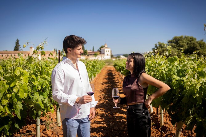 Private Full-Day Tour of the Wine Route in Requena - Meeting and Pickup