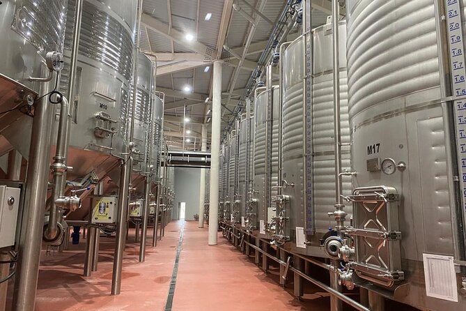 Private Full-Day Tour of the Wine Route in Requena - Additional Information