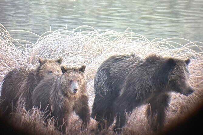 Private Full Day Tour of Yellowstone's Natural Wonders - Frequently Asked Questions