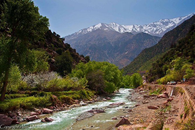 Private Full-Day Tour Ourika Valley From Marrakech With Lunch - Tour Highlights
