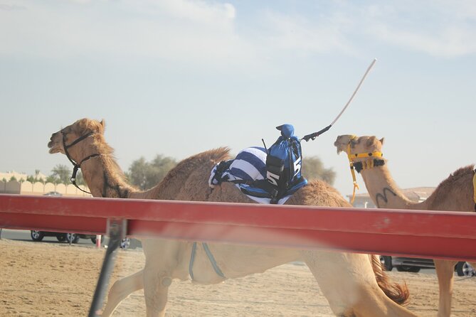 Private Full-Day Tour Qatar North And West - Tour Exclusions
