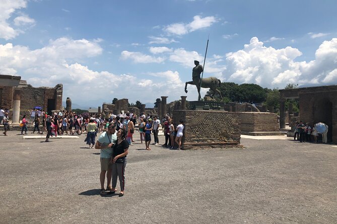 Private Full Day Tour Ruins of Pompei and Wine Tasting Experience - Private Tour Guide and Transportation
