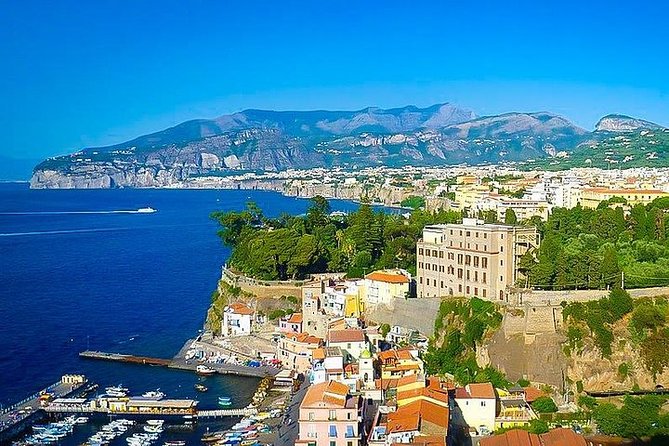 Private Full-Day Tour Sorrento, Positano, and Pompeii - Professional Guide and Inclusions