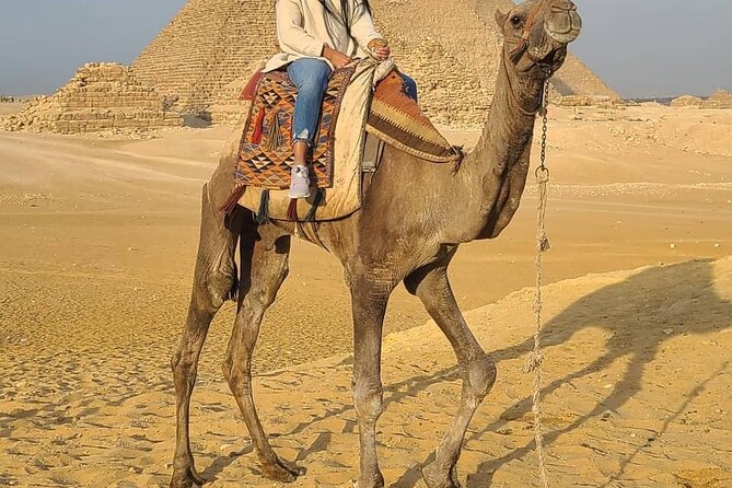 Private Full Day Tour to Cairo From Hurghada by Bus - Private Tour Information