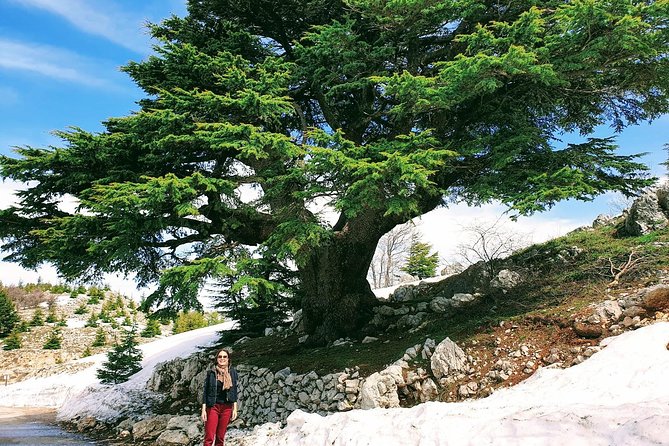 Private Full-Day Tour to Cedars, Baalbek and Ksara From Beirut - Tour Highlights