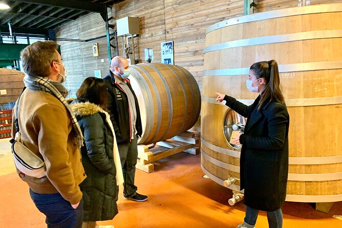 Private Full Day Tour to Champagne From Paris, Visit of 2 Champagne Producers - Traveler Photos