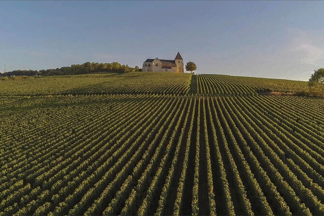 Private Full Day Tour to Champagne From Paris, Visit of 2 Champagne Producers - Reviews