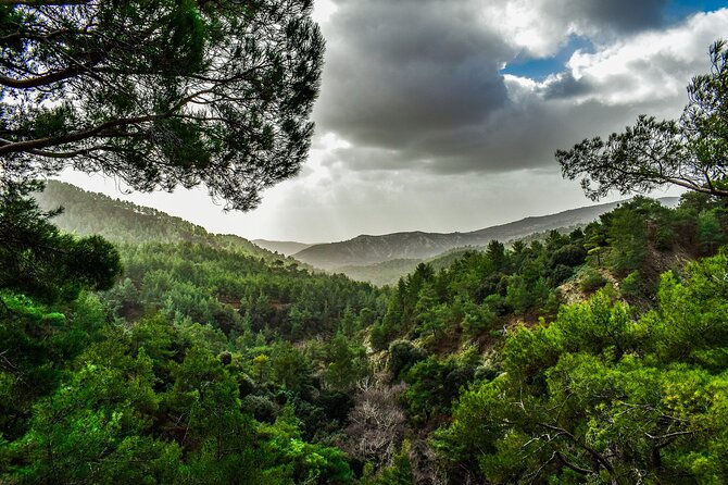 Private Full-Day Tour to Cyprus Monasteries - Inclusions and Services