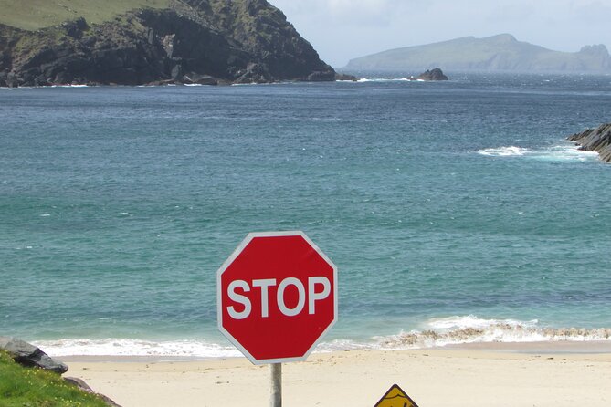 Private Full-Day Tour to Dingle and Slea Head - Meeting and Pickup Details