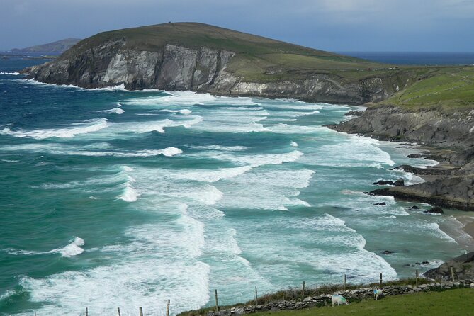 Private Full-Day Tour to Dingle and Slea Head - Reviews and Ratings