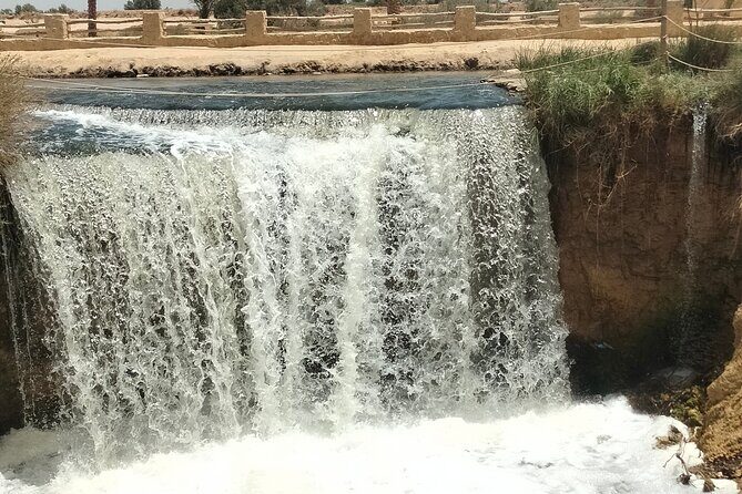 Private Full Day Tour to Fayoum Oasis with Transfer Included - A Deep Dive into the Fayoum Experience