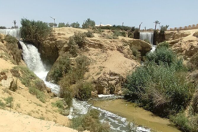 Private Full Day Tour to Fayoum Oasis with Transfer Included - Final Thoughts: Is It Worth It?