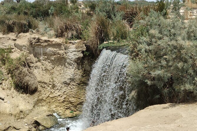 Private Full Day Tour to Fayoum Oasis with Transfer Included - Final Word