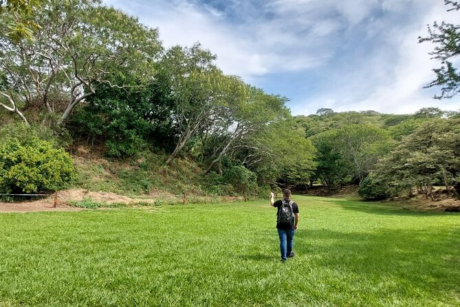 Private Full-Day Tour to Guachimontones - Customer Reviews and Ratings