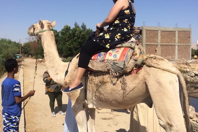 Private Full Day Tour to Luxor From Cairo by Plane,Special Day - Tour Highlights