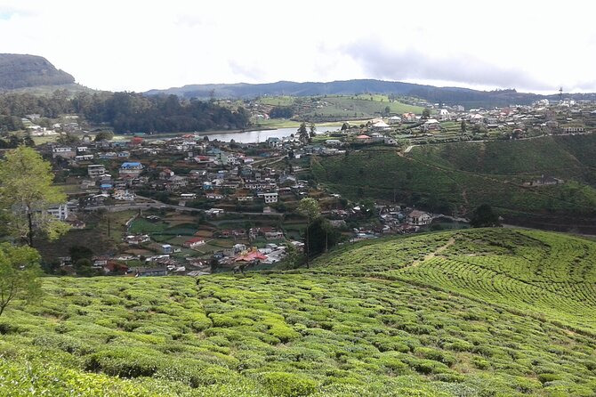 Private Full Day Tour to Nuwara Eliya From Kandy - Additional Activities