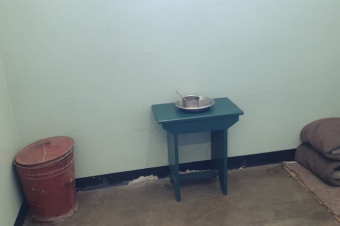 Private Full-Day Tour to Robben Island and Table Mountain - Reviews