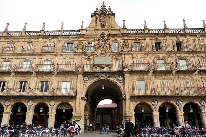 Private Full Day Tour to Salamanca From Madrid With Hotel Pick up and Drop off - Itinerary Overview