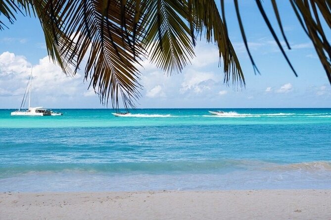 Private Full-Day Tour to Saona Island From Bayahibe With Lunch - Tour Highlights