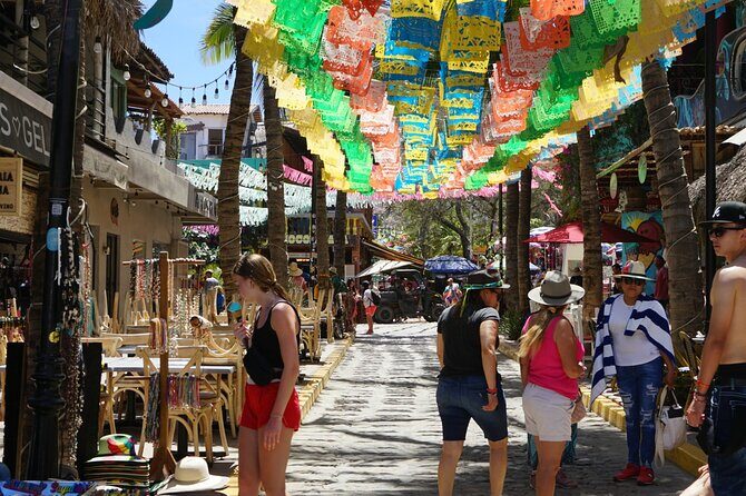 Private Full Day Tour to Sayulita - Good To Know