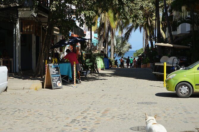 Private Full Day Tour to Sayulita - Final Thoughts