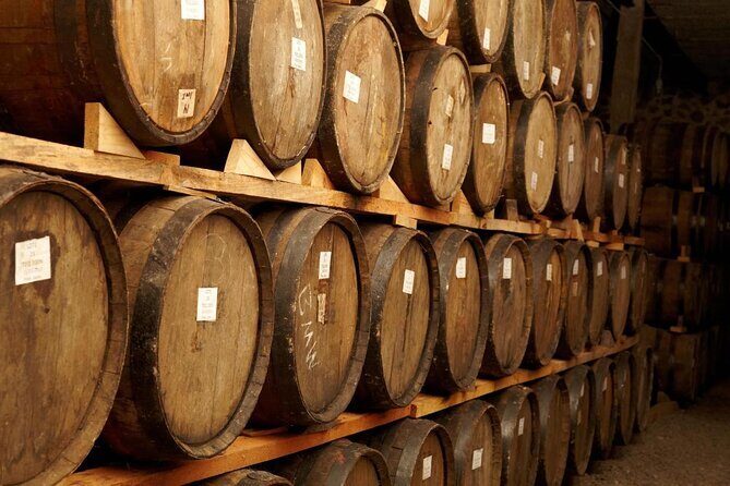 Private Full-Day Tour to Tequila Visiting Tequilera José Cuervo - Good To Know