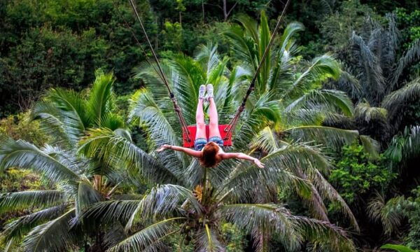 Private Full-Day Tour to the Real Bali Swing and Ubud - Transportation Details