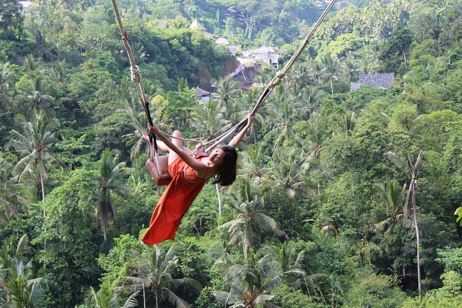 Private Full Day Tour to Ubud Highlights With Giant Swing - Tour Overview