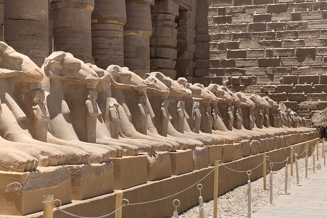 Private Full Day Tour to West and East Bank of Luxor - Cancellation Policy