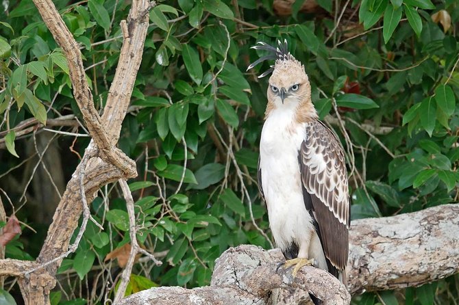 Private Full Day Tour to Wilpattu National Park From Colombo - Meeting and Pickup Details