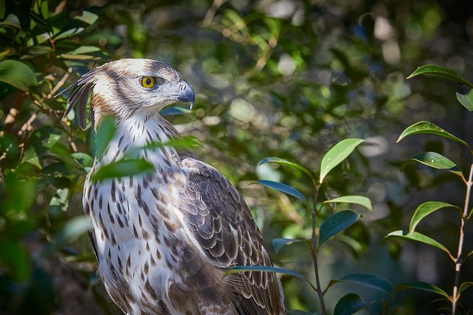 Private Full Day Tour to Wilpattu National Park From Colombo - Reviews and Testimonials