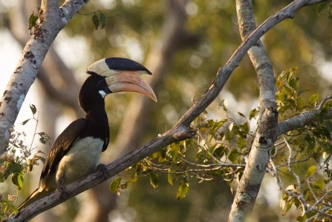 Private Full Day Tour to Wilpattu National Park From Colombo - Booking Information