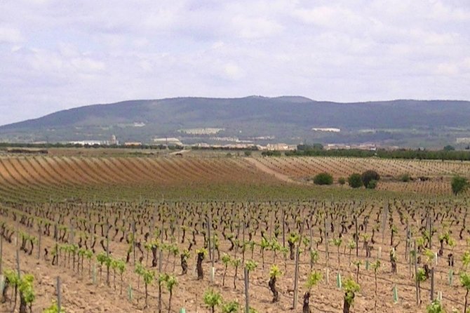Private Full-Day Tour to Winery in Requena From Valencia - Inclusions and Meeting/Pickup Information