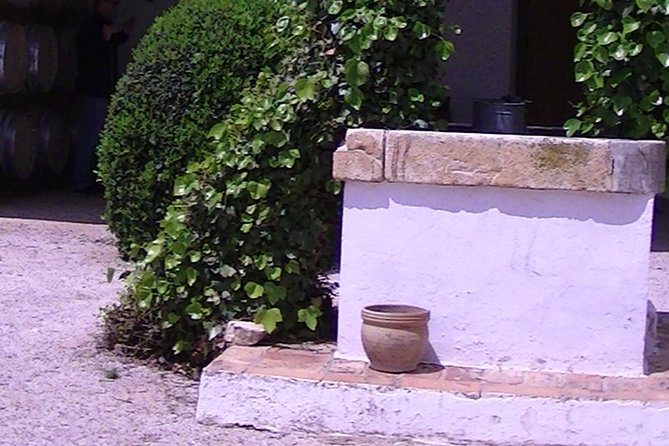 Private Full-Day Tour to Winery in Requena From Valencia - Pricing and Terms