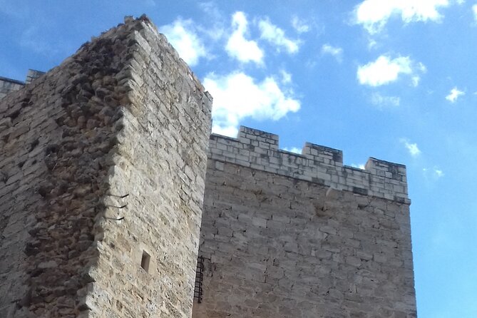 Private Full-Day Tour to Winery in Requena From Valencia - Common Questions