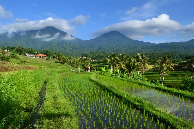 Private Full Day-Tour: UNESCO World Heritage Sites in Bali - Pricing and Booking Details