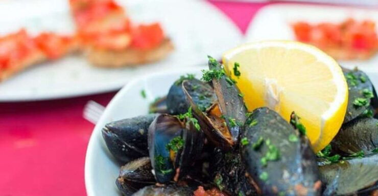 Private Full - Day Tour: Wine Tasting Tour to Ston - Experience Highlights