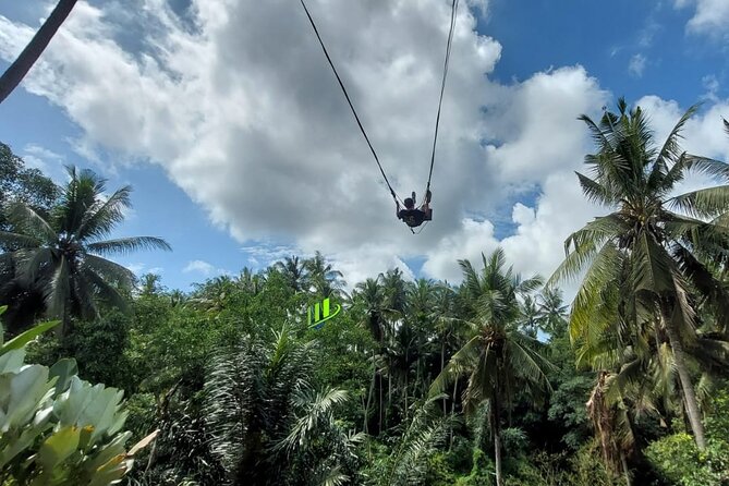 Private Full-Day Tour With Bali Swing and Water Rafting in Ubud - Tour Highlights