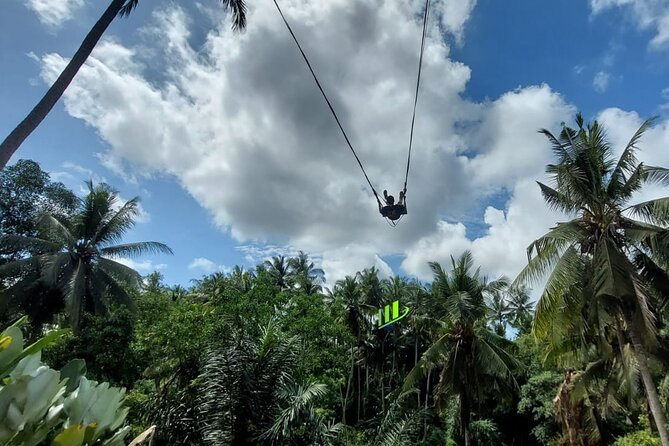 Private Full-Day Tour With Bali Swing and Water Rafting in Ubud - Inclusions