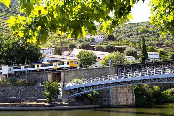 Private Full-Day Tour With Lunch and Wine Experience in Portugal - Price and Booking